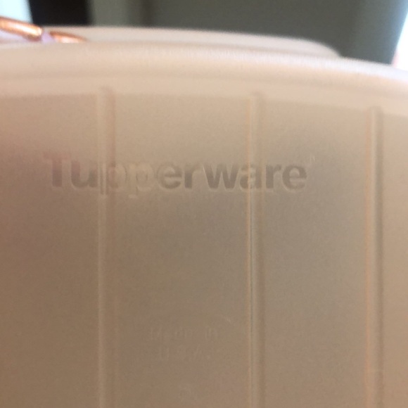 Tupperware Forget Me Not Cheese Keeper - Picture 5 of 5